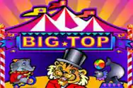 MICROGAMING slot